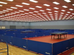 Table tennis